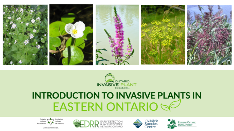 cover-ontario-invasive-plant-council