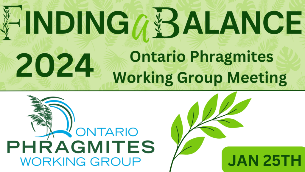 2024 Ontario Phragmites Working Group Meeting Ontario Invasive Plant   2024 OPWG Conference 2 1024x577 