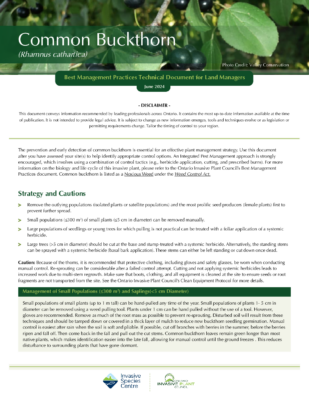 Buckthorn Technical Bulletin