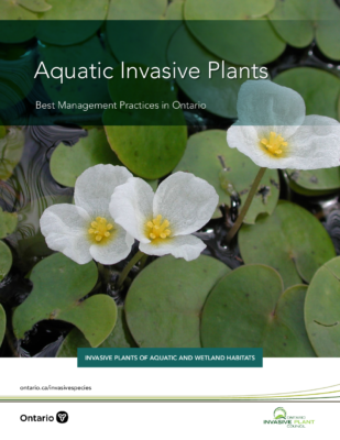 Aquatic Plant BMP